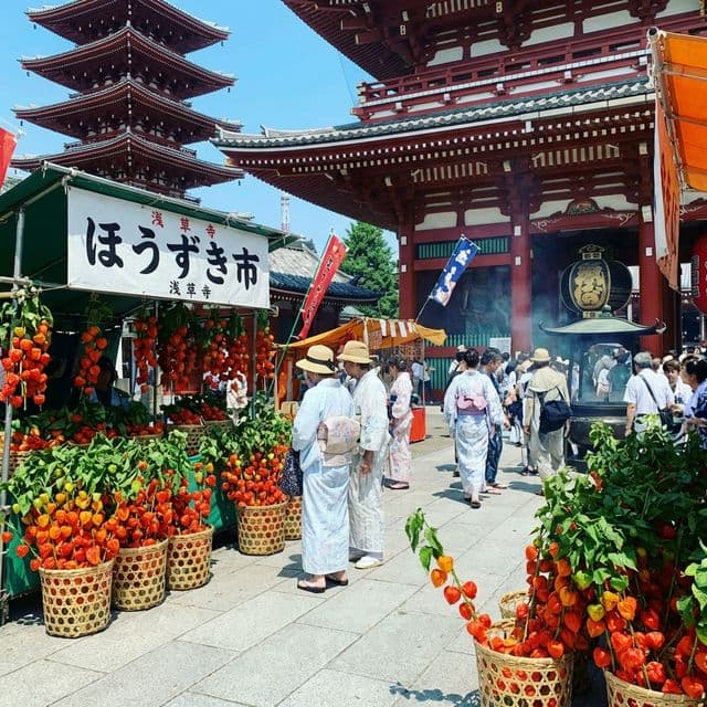 浅草ほおずき市と四万六千日 ─ 一日で46,000日分のご利益